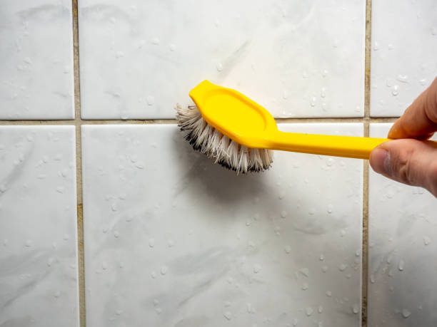 Best Home Mold Removal  in East Lake, FL