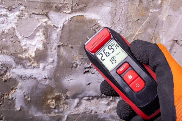 Best Mold Testing  in East Lake, FL