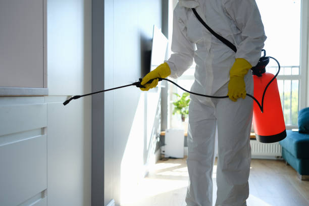 Best Office Mold Removal Services  in East Lake, FL