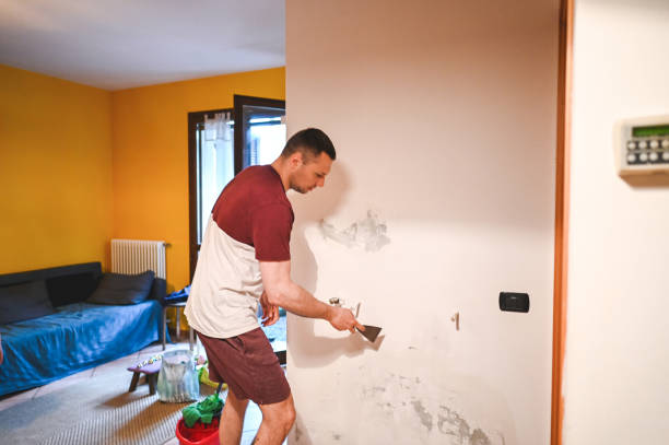 Mold Testing and Removal in East Lake, FL